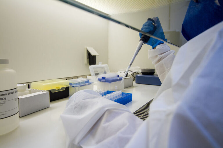 Pernambuco confirma primeira morte em adulto causada pela Febre do Oropouche