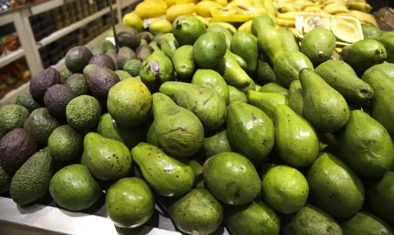 Pesquisa transforma semente de abacate em fonte de enzima industrial