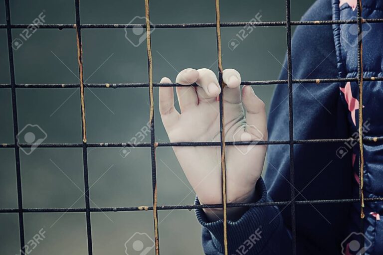 O verdadeiro significado de liberdade e independência.