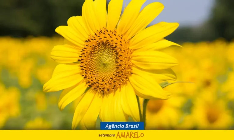 Setembro Amarelo: Campanha alerta para prevenção ao suicídio no país