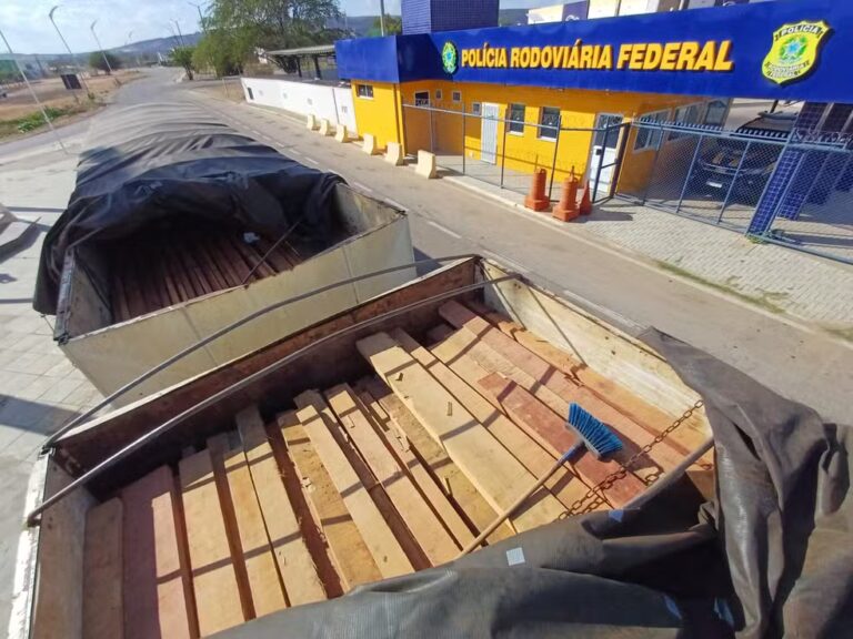 PRF divulga resultado de operação de combate ao desmatamento ilegal no Sertão de Pernambuco