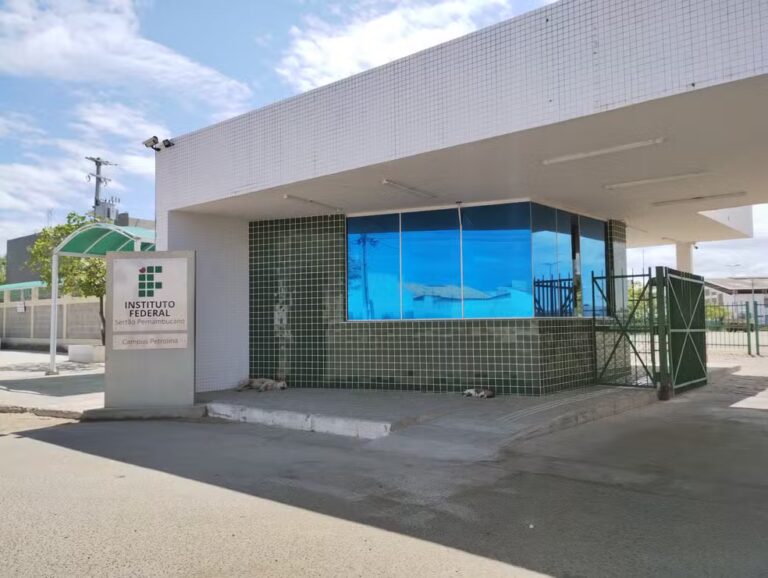IFSertãoPE abre 600 vagas para cursos de especialização a distância; saiba como se inscrever